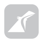 Carnival Cruise Line Logo